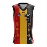 Camiseta St Kilda Saints AFL 2023 Indigena