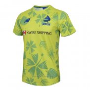 Camiseta Fiyi Rugby 2024 Entrenamiento Verde