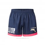 Pantalones Cortos Dolphins Rugby 2026